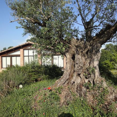 Chalet Domaine De Combe Ramond 호텔 Veilhes 외부 사진